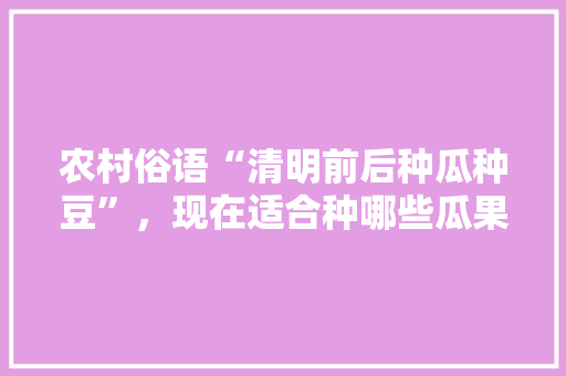 农村俗语“清明前后种瓜种豆”，现在适合种哪些瓜果种类呢，适应温棚种植的水果有哪些。 农村俗语“清明前后种瓜种豆”，现在适合种哪些瓜果种类呢，适应温棚种植的水果有哪些。 水果种植