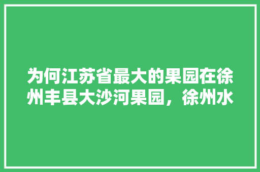 为何江苏省最大的果园在徐州丰县大沙河果园，徐州水果种植面积多少亩。 为何江苏省最大的果园在徐州丰县大沙河果园，徐州水果种植面积多少亩。 水果种植