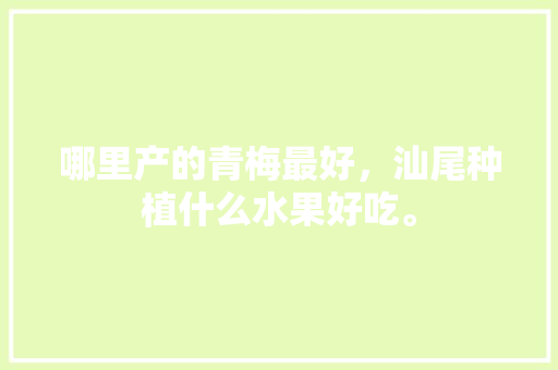 哪里产的青梅最好，汕尾种植什么水果好吃。 哪里产的青梅最好，汕尾种植什么水果好吃。 畜牧养殖