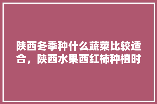 陕西冬季种什么蔬菜比较适合，陕西水果西红柿种植时间表。 陕西冬季种什么蔬菜比较适合，陕西水果西红柿种植时间表。 水果种植