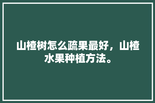 山楂树怎么疏果最好，山楂水果种植方法。 山楂树怎么疏果最好，山楂水果种植方法。 蔬菜种植