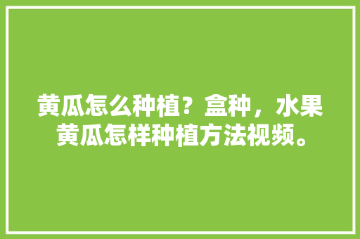 黄瓜怎么种植？盒种，水果黄瓜怎样种植方法视频。 黄瓜怎么种植？盒种，水果黄瓜怎样种植方法视频。 畜牧养殖