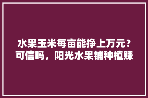 水果玉米每亩能挣上万元？可信吗，阳光水果铺种植赚钱吗。 水果玉米每亩能挣上万元？可信吗，阳光水果铺种植赚钱吗。 土壤施肥