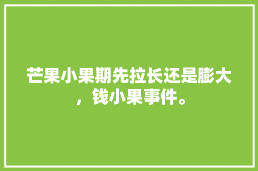 芒果小果期先拉长还是膨大，钱小果事件。 芒果小果期先拉长还是膨大，钱小果事件。 畜牧养殖