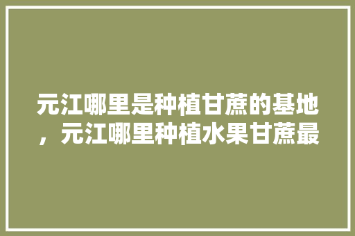 元江哪里是种植甘蔗的基地，元江哪里种植水果甘蔗最多。 元江哪里是种植甘蔗的基地，元江哪里种植水果甘蔗最多。 土壤施肥