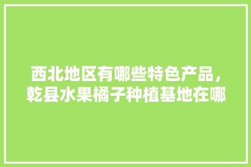 西北地区有哪些特色产品，乾县水果橘子种植基地在哪里。 西北地区有哪些特色产品，乾县水果橘子种植基地在哪里。 水果种植