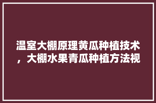 温室大棚原理黄瓜种植技术，大棚水果青瓜种植方法视频。 温室大棚原理黄瓜种植技术，大棚水果青瓜种植方法视频。 土壤施肥