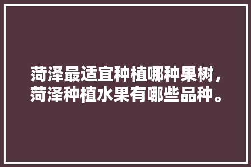 菏泽最适宜种植哪种果树，菏泽种植水果有哪些品种。 菏泽最适宜种植哪种果树，菏泽种植水果有哪些品种。 水果种植