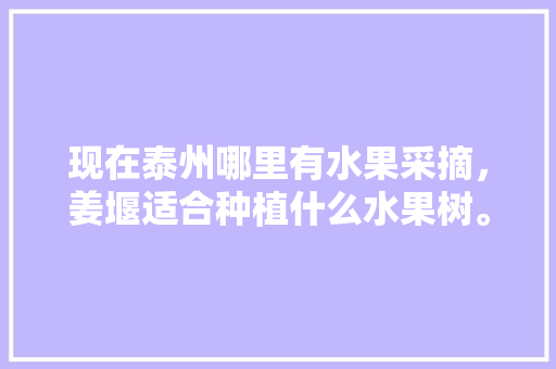 现在泰州哪里有水果采摘，姜堰适合种植什么水果树。 现在泰州哪里有水果采摘，姜堰适合种植什么水果树。 蔬菜种植