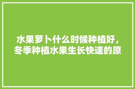 水果萝卜什么时候种植好，冬季种植水果生长快速的原因。 水果萝卜什么时候种植好，冬季种植水果生长快速的原因。 蔬菜种植