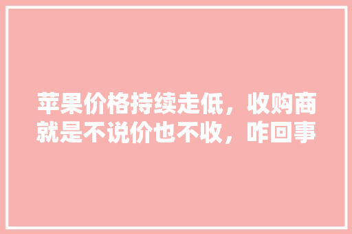 苹果价格持续走低，收购商就是不说价也不收，咋回事呢，乡宁种植水果有哪些品种。 苹果价格持续走低，收购商就是不说价也不收，咋回事呢，乡宁种植水果有哪些品种。 土壤施肥