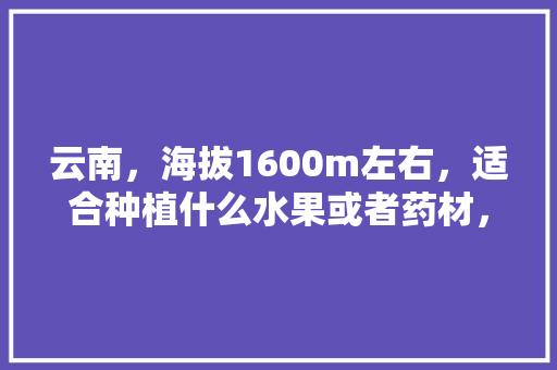 云南，海拔1600m左右，适合种植什么水果或者药材，云南冬季水果种植时间。 云南，海拔1600m左右，适合种植什么水果或者药材，云南冬季水果种植时间。 土壤施肥