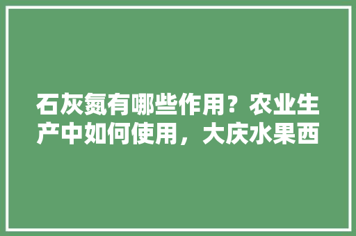 石灰氮有哪些作用？农业生产中如何使用，大庆水果西红柿种植基地在哪。 石灰氮有哪些作用？农业生产中如何使用，大庆水果西红柿种植基地在哪。 畜牧养殖