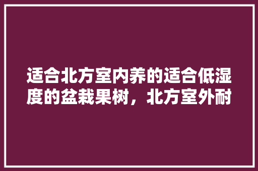 适合北方室内养的适合低湿度的盆栽果树，北方室外耐寒水果种植方法。 适合北方室内养的适合低湿度的盆栽果树，北方室外耐寒水果种植方法。 家禽养殖