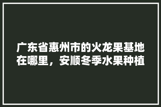 广东省惠州市的火龙果基地在哪里，安顺冬季水果种植基地在哪里。 广东省惠州市的火龙果基地在哪里，安顺冬季水果种植基地在哪里。 土壤施肥