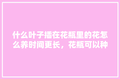 什么叶子插在花瓶里的花怎么养时间更长，花瓶可以种植什么水果呢。 什么叶子插在花瓶里的花怎么养时间更长，花瓶可以种植什么水果呢。 水果种植