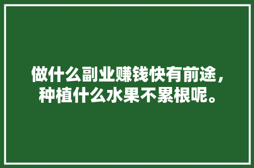 做什么副业赚钱快有前途，种植什么水果不累根呢。 做什么副业赚钱快有前途，种植什么水果不累根呢。 水果种植