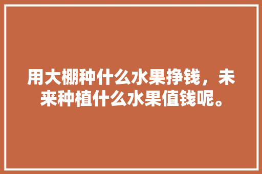 用大棚种什么水果挣钱，未来种植什么水果值钱呢。 用大棚种什么水果挣钱，未来种植什么水果值钱呢。 土壤施肥