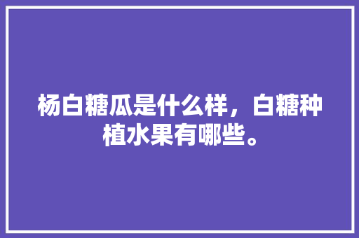 杨白糖瓜是什么样，白糖种植水果有哪些。 杨白糖瓜是什么样，白糖种植水果有哪些。 水果种植