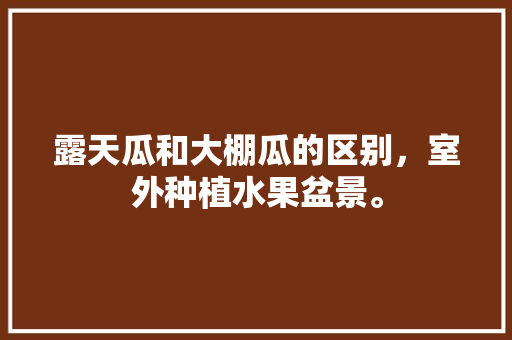 露天瓜和大棚瓜的区别，室外种植水果盆景。 露天瓜和大棚瓜的区别，室外种植水果盆景。 蔬菜种植