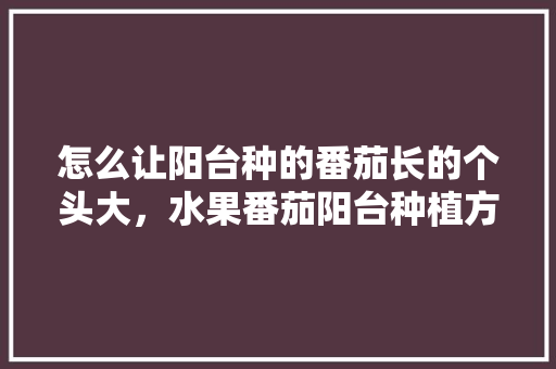 怎么让阳台种的番茄长的个头大，水果番茄阳台种植方法视频。 怎么让阳台种的番茄长的个头大，水果番茄阳台种植方法视频。 土壤施肥