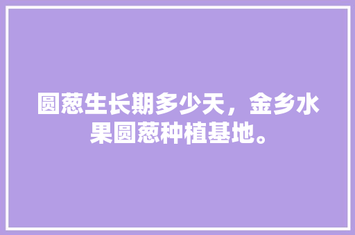 圆葱生长期多少天，金乡水果圆葱种植基地。 圆葱生长期多少天，金乡水果圆葱种植基地。 蔬菜种植