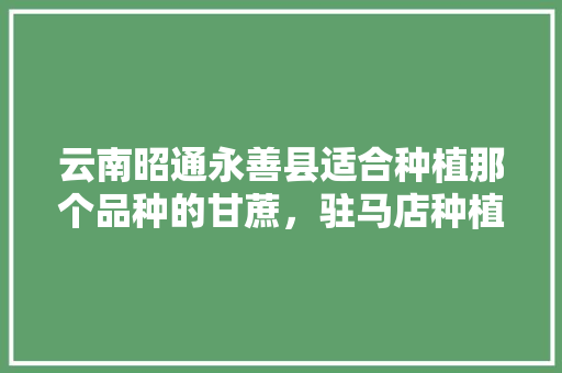 云南昭通永善县适合种植那个品种的甘蔗，驻马店种植啥水果最多。 云南昭通永善县适合种植那个品种的甘蔗，驻马店种植啥水果最多。 水果种植