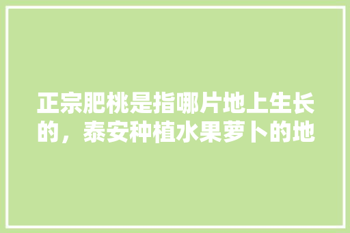 正宗肥桃是指哪片地上生长的，泰安种植水果萝卜的地方。 正宗肥桃是指哪片地上生长的，泰安种植水果萝卜的地方。 家禽养殖