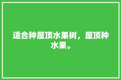 适合种屋顶水果树，屋顶种水果。 适合种屋顶水果树，屋顶种水果。 水果种植