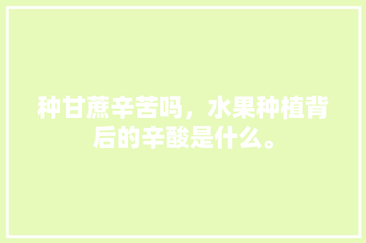 种甘蔗辛苦吗，水果种植背后的辛酸是什么。 种甘蔗辛苦吗，水果种植背后的辛酸是什么。 水果种植