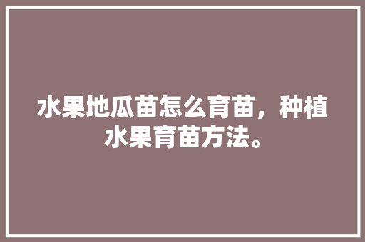 水果地瓜苗怎么育苗，种植水果育苗方法。 水果地瓜苗怎么育苗，种植水果育苗方法。 畜牧养殖