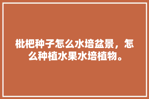 枇杷种子怎么水培盆景，怎么种植水果水培植物。 枇杷种子怎么水培盆景，怎么种植水果水培植物。 家禽养殖