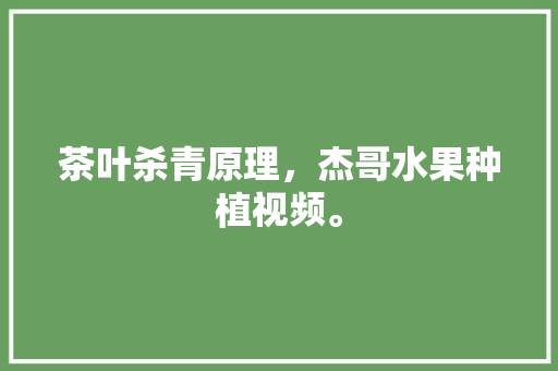 茶叶杀青原理，杰哥水果种植视频。 茶叶杀青原理，杰哥水果种植视频。 土壤施肥