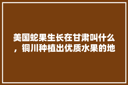 美国蛇果生长在甘肃叫什么，铜川种植出优质水果的地方。 美国蛇果生长在甘肃叫什么，铜川种植出优质水果的地方。 蔬菜种植