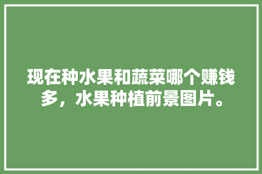 现在种水果和蔬菜哪个赚钱多，水果种植前景图片。 现在种水果和蔬菜哪个赚钱多，水果种植前景图片。 蔬菜种植