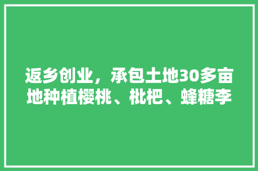 返乡创业，承包土地30多亩地种植樱桃、枇杷、蜂糖李、桃子、八月瓜、无花果，有前途吗，水果种植农庄名字大全。 返乡创业，承包土地30多亩地种植樱桃、枇杷、蜂糖李、桃子、八月瓜、无花果，有前途吗，水果种植农庄名字大全。 畜牧养殖