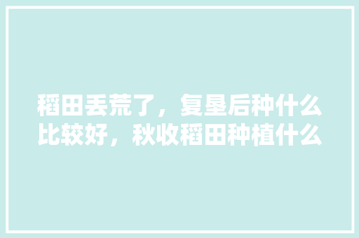 稻田丢荒了，复垦后种什么比较好，秋收稻田种植什么水果最好。 稻田丢荒了，复垦后种什么比较好，秋收稻田种植什么水果最好。 水果种植