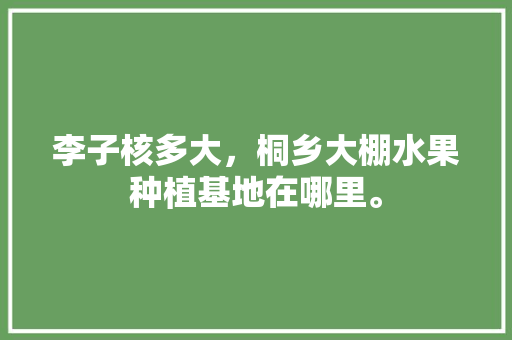 李子核多大，桐乡大棚水果种植基地在哪里。 李子核多大，桐乡大棚水果种植基地在哪里。 水果种植