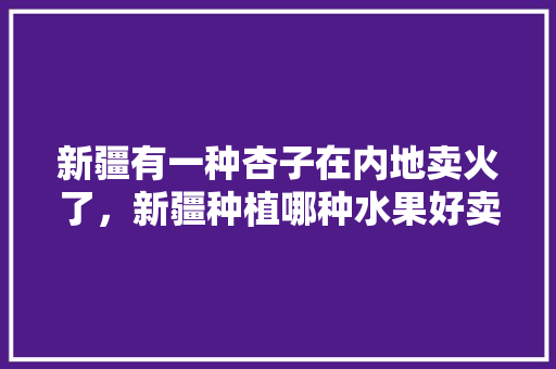 新疆有一种杏子在内地卖火了，新疆种植哪种水果好卖些。 新疆有一种杏子在内地卖火了，新疆种植哪种水果好卖些。 畜牧养殖