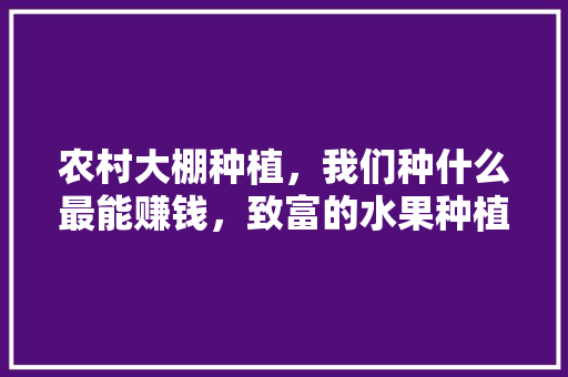 农村大棚种植，我们种什么最能赚钱，致富的水果种植方法。 农村大棚种植，我们种什么最能赚钱，致富的水果种植方法。 蔬菜种植