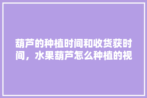 葫芦的种植时间和收货获时间，水果葫芦怎么种植的视频。 葫芦的种植时间和收货获时间，水果葫芦怎么种植的视频。 畜牧养殖