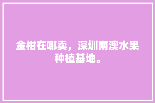 金柑在哪卖，深圳南澳水果种植基地。 金柑在哪卖，深圳南澳水果种植基地。 水果种植