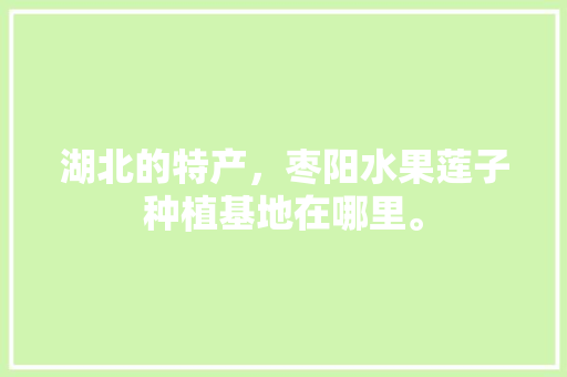 湖北的特产，枣阳水果莲子种植基地在哪里。 湖北的特产，枣阳水果莲子种植基地在哪里。 水果种植