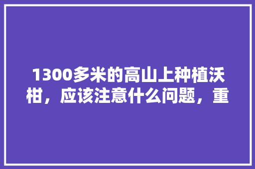 1300多米的高山上种植沃柑，应该注意什么问题，重点做好哪些管理工作，水库乡镇水果种植方案。 1300多米的高山上种植沃柑，应该注意什么问题，重点做好哪些管理工作，水库乡镇水果种植方案。 土壤施肥