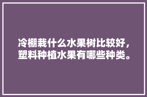 冷棚栽什么水果树比较好，塑料种植水果有哪些种类。 冷棚栽什么水果树比较好，塑料种植水果有哪些种类。 水果种植