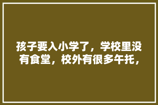 孩子要入小学了，学校里没有食堂，校外有很多午托，但是听学校老师讲吃午托不好，咋办，水果种植托管服务方案怎么写。 孩子要入小学了，学校里没有食堂，校外有很多午托，但是听学校老师讲吃午托不好，咋办，水果种植托管服务方案怎么写。 土壤施肥