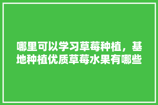 哪里可以学习草莓种植，基地种植优质草莓水果有哪些。 哪里可以学习草莓种植，基地种植优质草莓水果有哪些。 水果种植