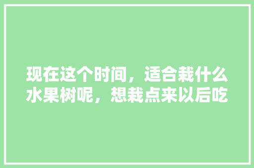 现在这个时间，适合栽什么水果树呢，想栽点来以后吃，什么水果种植好存活久。 现在这个时间，适合栽什么水果树呢，想栽点来以后吃，什么水果种植好存活久。 水果种植