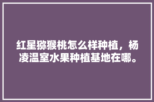 红星猕猴桃怎么样种植，杨凌温室水果种植基地在哪。 红星猕猴桃怎么样种植，杨凌温室水果种植基地在哪。 水果种植