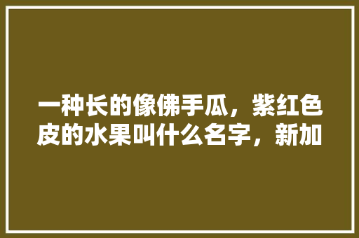 一种长的像佛手瓜，紫红色皮的水果叫什么名字，新加坡热带水果有哪些。 一种长的像佛手瓜，紫红色皮的水果叫什么名字，新加坡热带水果有哪些。 土壤施肥